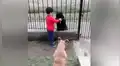 Niño ve a perro callejero hambriento y le da de comer del plato de su mascota [VIDEO]