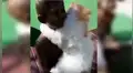 Gato se aferra a una estatua de niño y lo abraza pensando que es su amo [VIDEO]