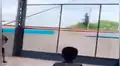 “Esto es solo para valientes”: hombre desafía a la muerte con temeraria carrera sobre un tren [VIDEO]