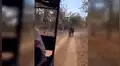 YouTube viral: elefante enojado intenta matar a turistas que invadieron su territorio [VIDEO]