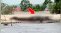 YouTube viral: abandona su casa por inundación, regresa y encuentra un feroz depredador en su techo [VIDEO] 