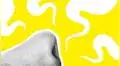 Anosmia y disgeusia: ¿qué son y cómo se relacionan con la COVID-19?
