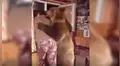Oso se acerca a su cuidador mientras estaba de espaldas y lo sorprende con cariñosa reacción [VIDEO]