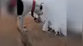 Perro ‘regaña’ a sus cachorros por sus travesuras y estos tienen conmovedora reacción [VIDEO] 