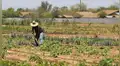 Costa, sierra y selva le dicen sí al paro nacional agropecuario