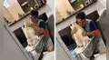 Se negó a tener perros en casa, pero su hijo lo captó en una tierna escena con la nueva mascota [VIDEO] 