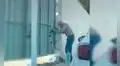 Anciano va todos los días a una casa abandonada para darle agua y comida a un gato [VIDEO]
