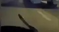 Policía queda aterrado al ver que serpiente emerge de su motocicleta en plena carretera [VIDEO]