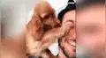 Perro descubre que su dueño lo está filmando y tiene curiosa reacción para que deje de hacerlo [VIDEO]