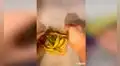 Intenta imitar receta de cocina y obtiene inesperado resultado [VIDEO]