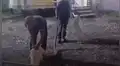 Tailandia: hombres impiden que serpiente pitón de 3 metros ataque a bebé que dormía en su cuna 