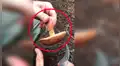Joven encuentra extraño hongo, lo parte por la mitad y este tiene aterradora mutación [VIDEO]