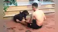 Joven hace ejercicios y recibe inesperada ayuda de su perro [VIDEO]