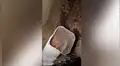 Capta misteriosos ruidos en tubería, revisa y encuentra a pequeño ‘visitante’ que causa ternura en miles [VIDEO]