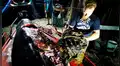 Ballena muere por tener 40 kilos de plástico en el estómago [FOTOS]