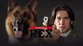 Comisario Rex: el millonario sueldo y la vida de ensueño del perro protagonista [VIDEO]