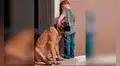 Perro acompaña a niño durante su castigo y enternece las redes sociales [FOTOS]