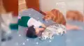 Mujer pide a sus mascotas vigilar a su pequeña hija y los encuentra en conmovedora escena [VIDEO] 