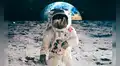 ¿Por qué la NASA grabó encima de las cintas donde se apreciaba el alunizaje? 