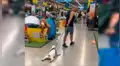 Perro protagoniza divertida escena con su dueño al no querer andar en centro comercial [VIDEO]