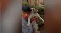 Intenta tomarse una foto con gato callejero, pero este termina atacándolo antes de tener la postal [VIDEO]