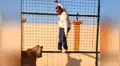Chico entra a recinto de leones para tomarse selfie y depredador lo sorprende de la peor forma [VIDEO]