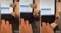 Gatito no soporta que su dueño no juegue con él y trata de llamar su atención mientras trabaja [VIDEO]