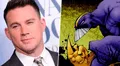 Channing Tatum hará el live action del cómic “The Maxx”
