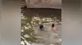 Chico finge ahogarse en un estanque y su perro reacciona de manera heroica [VIDEO]