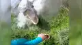 Intenta capturar un pez y es sorprendido por enorme animal que sale del mar para atacarlo [VIDEO]