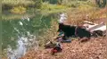Perro se queda en la orilla de laguna donde se ahogó su dueño esperando su regreso [VIDEO]