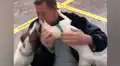 Cachorros estallan de emoción al ver llegar a su dueño y lo reciben entre ‘besos y abrazos’ [VIDEO] 