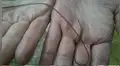 Ubica misteriosa criatura en su granja sin imaginar su verdadera identidad [VIDEO]