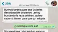 WhatsApp: Quiso adoptar perro de "raza pura" y le dieron una gran lección