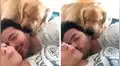 Facebook viral: perro tiene épica reacción al ver a pareja en 'situación íntima' [VIDEO]