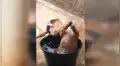 Perro aprovecha que sus dueños no están en casa y hace la travesura más grande del mundo [VIDEO] 