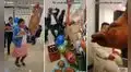 Peruana muestra los lujosos regalos que recibió en su pedida de mano en Ayacucho