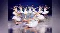 “El lago de los cisnes sobre hielo” en breve temporada en Lima