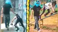 YouTube viral: peruano se disfraza de gato y lo pasean por las calles de Lima con correa [VIDEO]