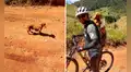 Rescató a un perrito moribundo y ahora lo acompaña en todos sus viajes