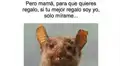 Día de la Madre: divierte a mamá con los memes más creativos para reír en su día [FOTOS]