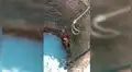 Mujer arriesga su vida y entra a profundo pozo a rescatar a desolado perro callejero [VIDEO]