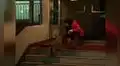 Gato consuela a perrita que espera volver a ver a sus dueños