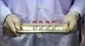 Rusia presentó su medicamento contra la COVID-19 a Latinoamérica [VIDEOS]