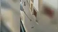 Hombre emplea truco para pasear a su perro en la calle, sin abandonar su casa por la cuarentena [VIDEO] 