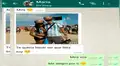 WhatsApp: Molestó a su expareja con foto de su nuevo novio y contestaron esto [FOTOS]