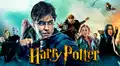 Harry Potter: ofrecen $1.000 por ver todas las películas de la popular saga [VIDEO]