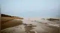 Vía Twitter: Impactante hallazgo de extraña criatura marina en Australia [FOTOS]