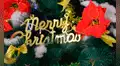 Frases de Navidad para desear felices fiestas a la familia y amigos