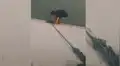 Hombre arriesga su vida para salvar a perro que había caído a un canal de agua [VIDEO]
